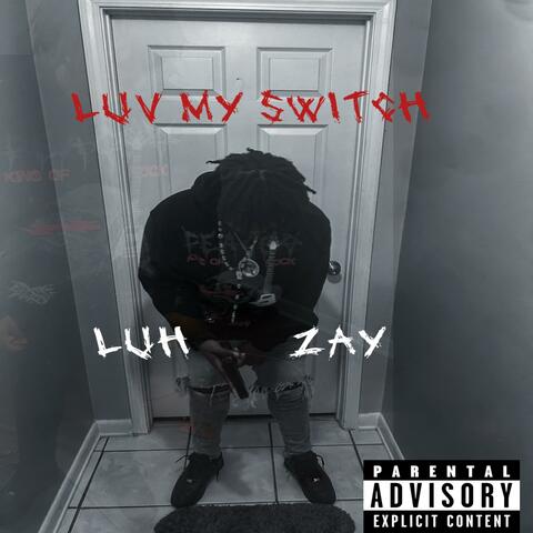 luv my switch
