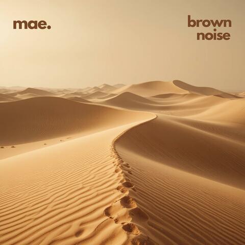 Brown Noise Horizons
