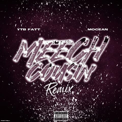 Meech Cousin (feat. YTB Fatt) [Remix]
