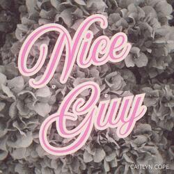 Nice Guy