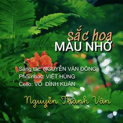 Sắc Hoa Màu Nhớ