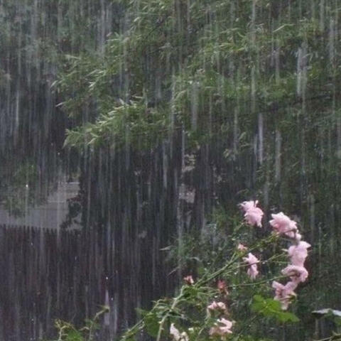 Make it rain '23 (Kol Isha)