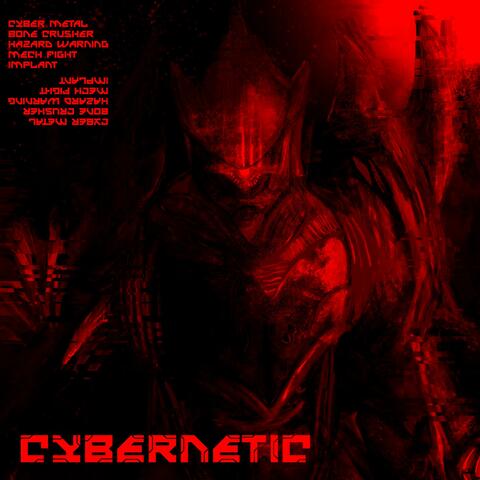 CYBERNETIC