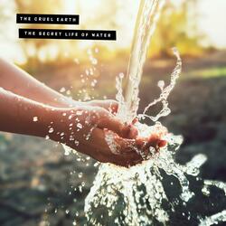 The Secret Life Of Water