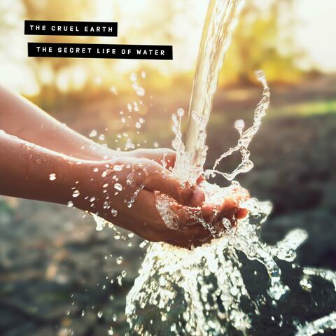 The Secret Life Of Water