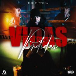VIDAS PERDIDAS