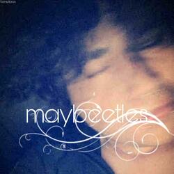maybeetles