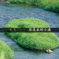 你是我的小满