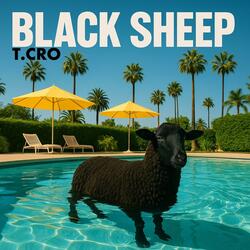 Black Sheep