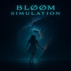 Simulation