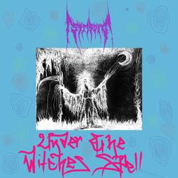 Under the Witch's Spell