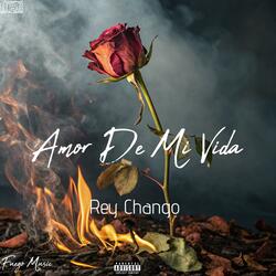 Amor De Mi Vida