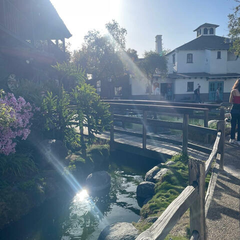 sunshine