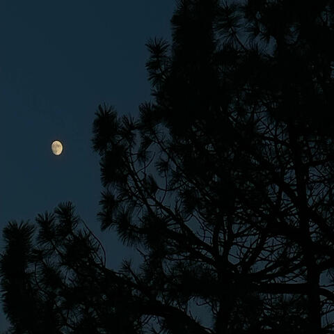 Moon Man