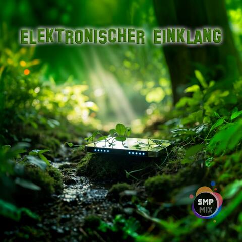 Elektronischer Einklang