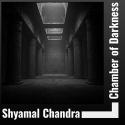 Chamber of Darkness