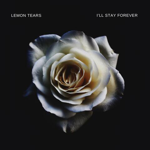 I’ll Stay Forever