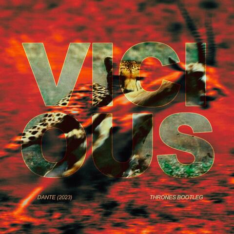 Vicious (thrones. bootleg)
