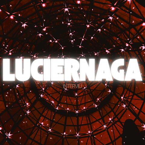 Luciernaga