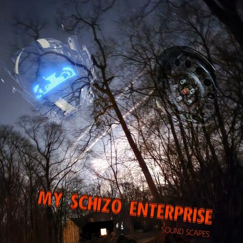 My Schizo Enterprize