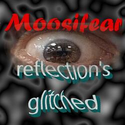 Reflection's glitched