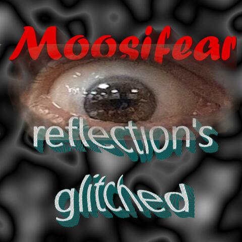 Reflection's glitched