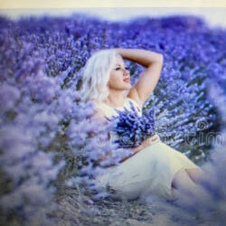 Goldie's Theme