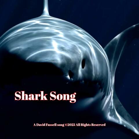 Shark Song