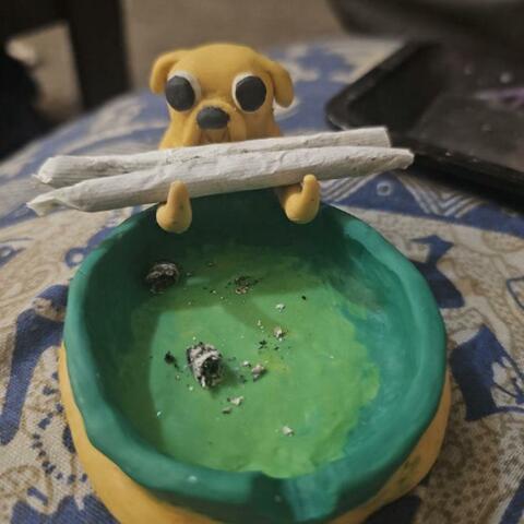 rip wifiskeleton (medicine)