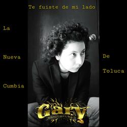 Te fuiste de mi lado