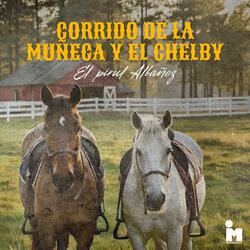 El Pirul Albañez (Corrido de La Muñeca y El Chelby - S22 Sesiones)