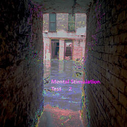 Mental Stimulation Test 2