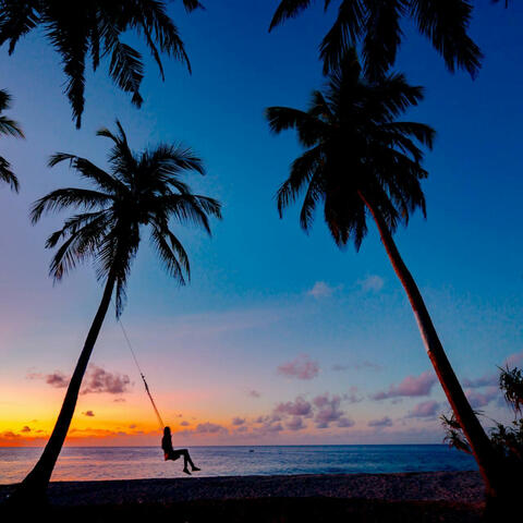 Beaches and Palms