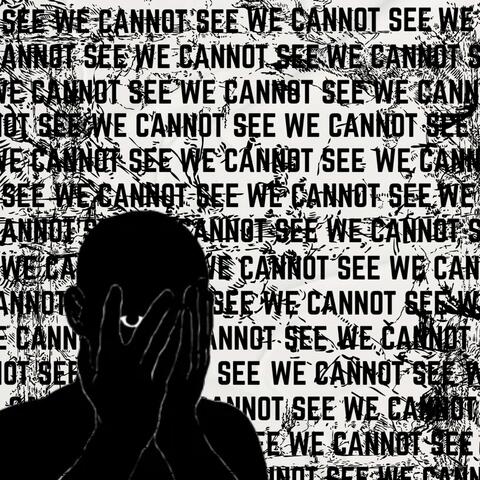 WE CANNOT SEE