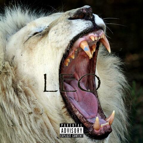 LEO