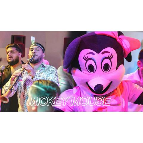 Alpen Minune ORK.Romaniei KOCEKA MICKEY MOUSE 2025