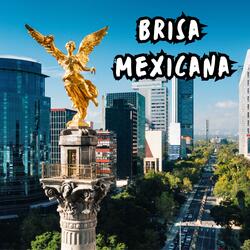 Fiesta Urbana