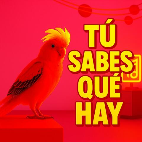 Tú Sabes Qué Hay