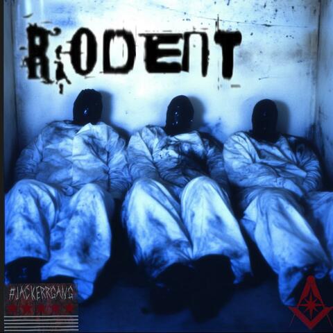 RODENT