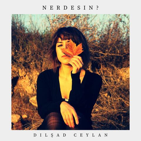 Nerdesin