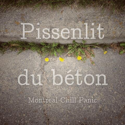 Pissenlit du béton