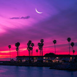 Midnight (feat. Majora)