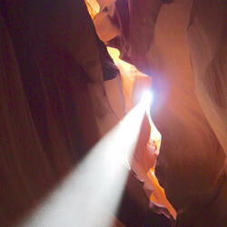 Ombre irriflesse d'Eterno