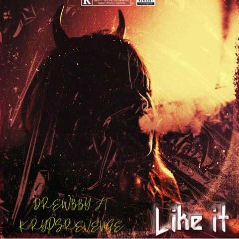 Like it (feat. Kryptsrevenge)