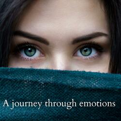 A journey through emotions