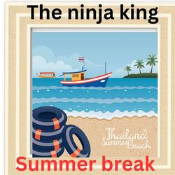 Summer break (feat. Song generator ai) (Acoustic )