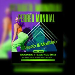 Sexo y Molineo (PERREO)