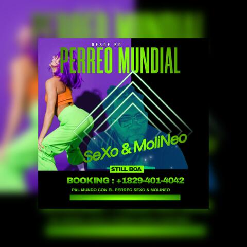 Sexo y Molineo (PERREO)
