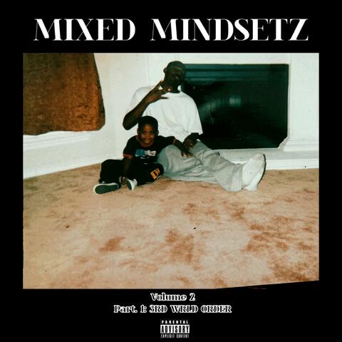 Mixed Mindsetz Volume 2: 3rd Wrld Order
