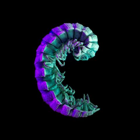 Mutation